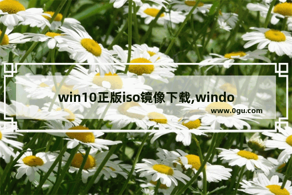 win10正版iso镜像下载,windows10正式版官方原版镜像iso下载地址 1