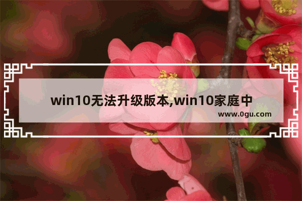 win10无法升级版本,win10家庭中文版升级专业版失败