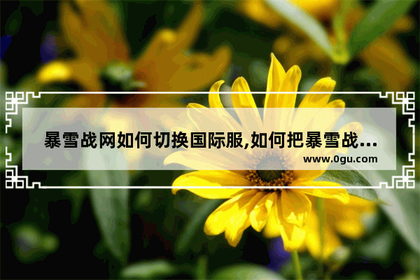 暴雪战网如何切换国际服,如何把暴雪战网国际服改成国服