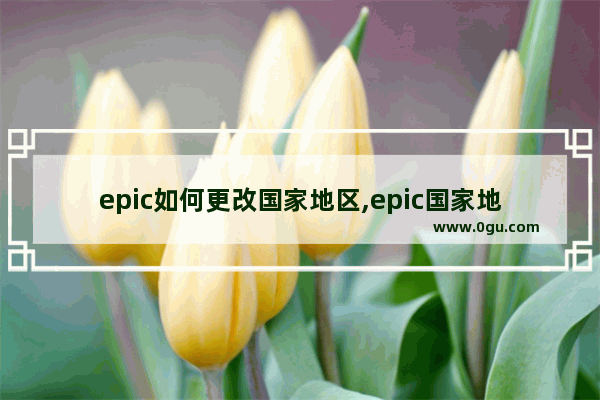 epic如何更改国家地区,epic国家地区