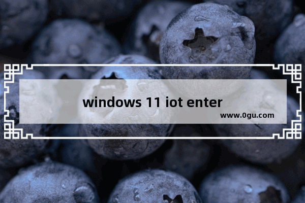 windows 11 iot enterprise,