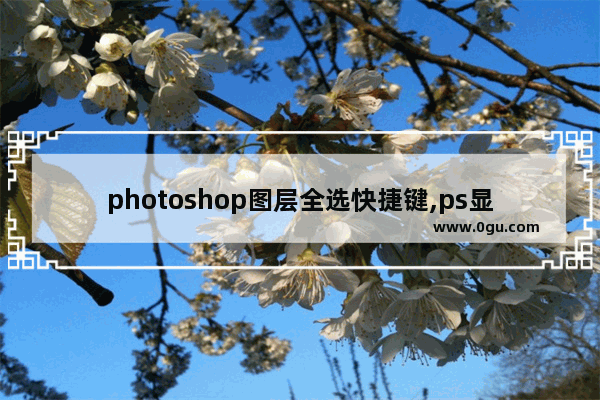 photoshop图层全选快捷键,ps显示全部图像快捷键