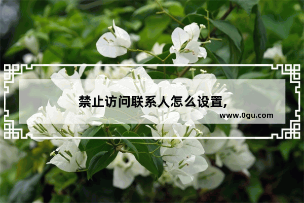 禁止访问联系人怎么设置,