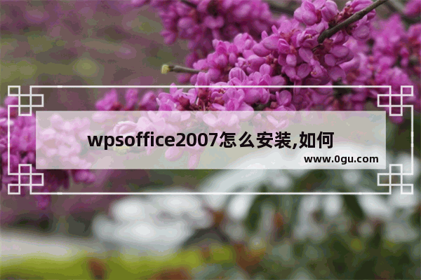wpsoffice2007怎么安装,如何安装wps office2016