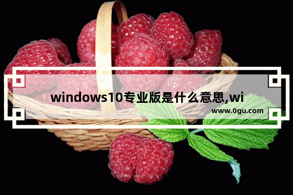 windows10专业版是什么意思,windows10对应的服务器版号