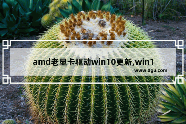 amd老显卡驱动win10更新,win101909版本对AMD的优化