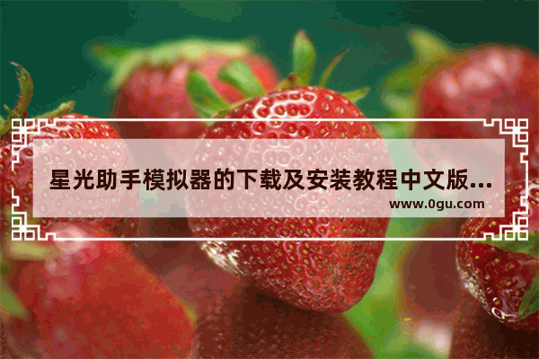 星光助手模拟器的下载及安装教程中文版,星光助手模拟器手机版