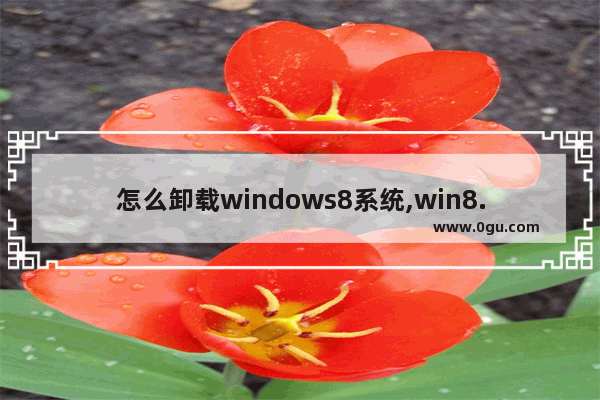 怎么卸载windows8系统,win8.1如何卸载软件