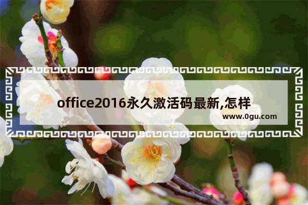 office2016永久激活码最新,怎样永久激活office2016
