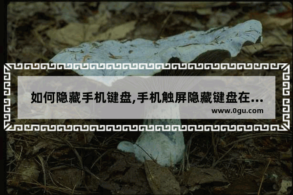 如何隐藏手机键盘,手机触屏隐藏键盘在哪里