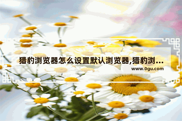 猎豹浏览器怎么设置默认浏览器,猎豹浏览器怎么把百度设为主页