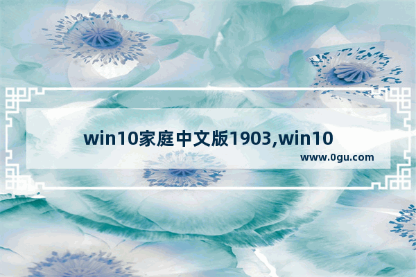 win10家庭中文版1903,win10家庭版1904