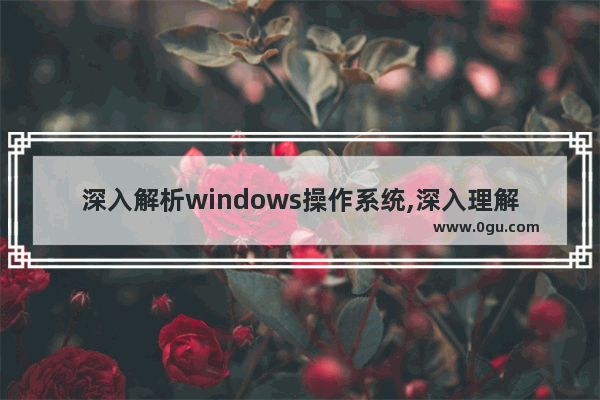 深入解析windows操作系统,深入理解windows
