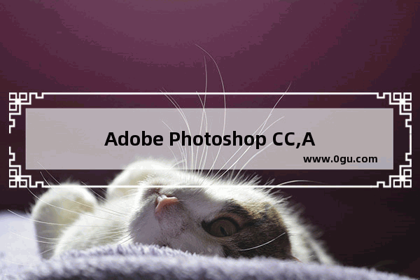 Adobe Photoshop CC,Adobe Photoshop CC 2014～2020