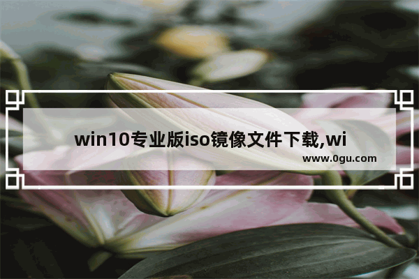 win10专业版iso镜像文件下载,windows10专业版iso镜像下载 1