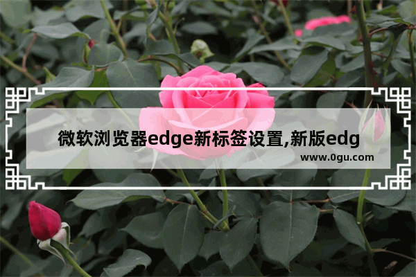 微软浏览器edge新标签设置,新版edge浏览器设置默认主页