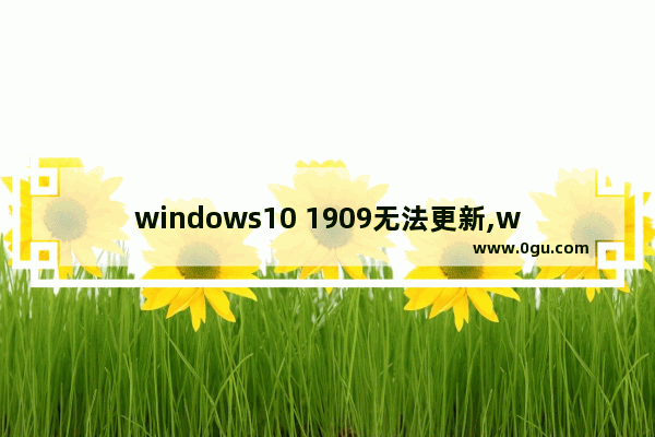 windows10 1909无法更新,win10最新版本1909更新失败