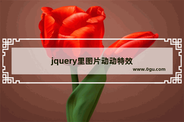 jquery里图片动动特效