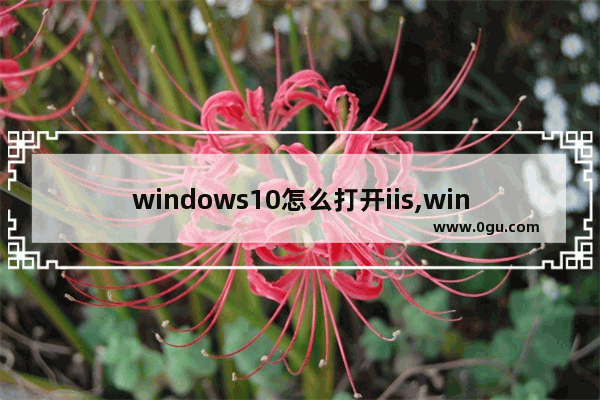 windows10怎么打开iis,win10打开iis管理器命令