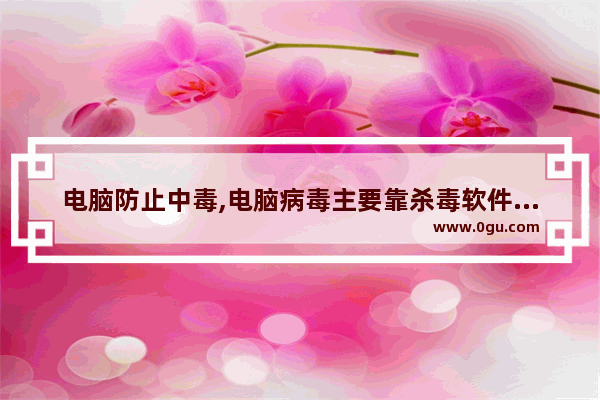 电脑防止中毒,电脑病毒主要靠杀毒软件防护