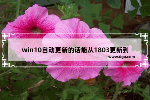 win10自动更新的话能从1803更新到1809吗 ,针对win10的功能更新,版本1903正在初始化