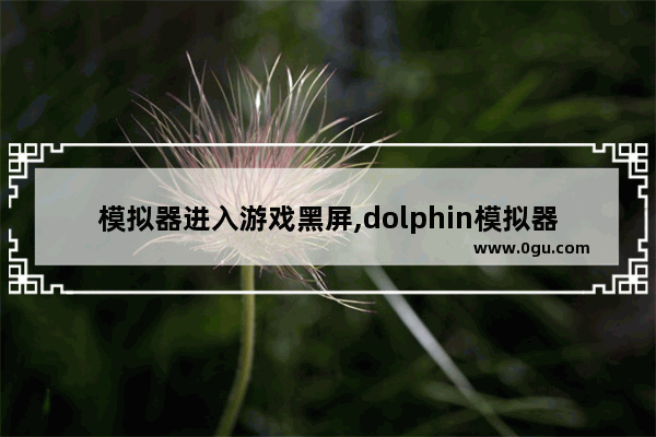 模拟器进入游戏黑屏,dolphin模拟器闪屏