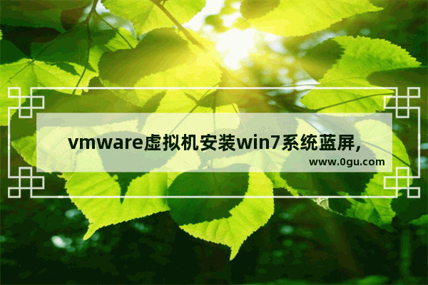 vmware虚拟机安装win7系统蓝屏,vmware虚拟机安装win7系统一直加载