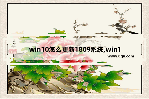 win10怎么更新1809系统,win10升级到1803版本方法