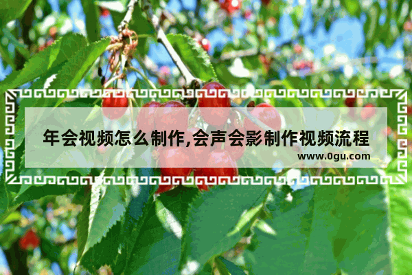 年会视频怎么制作,会声会影制作视频流程