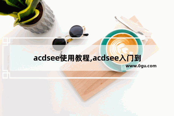 acdsee使用教程,acdsee入门到精通教程