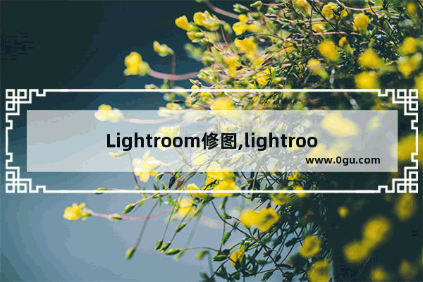 Lightroom修图,lightroom手机修图教程