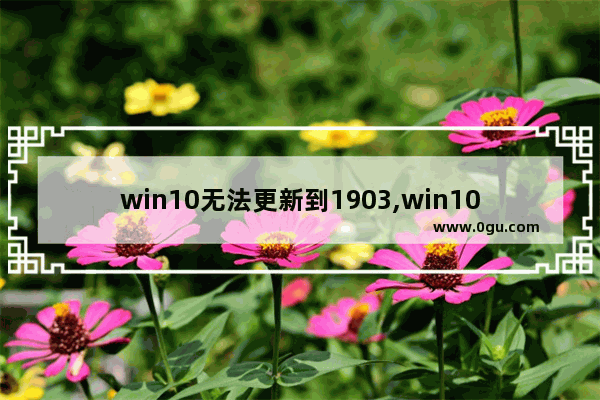 win10无法更新到1903,win101809升级1909失败