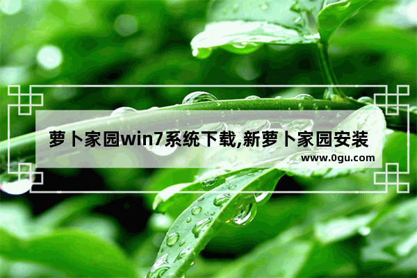 萝卜家园win7系统下载,新萝卜家园安装系统