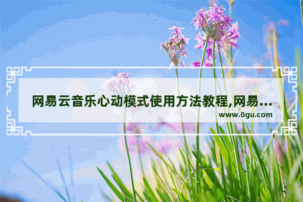 网易云音乐心动模式使用方法教程,网易云音乐心动模式使用方法说明