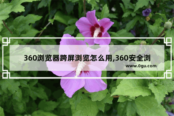360浏览器跨屏浏览怎么用,360安全浏览器跨屏浏览