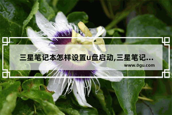 三星笔记本怎样设置u盘启动,三星笔记本设置u盘启动完整步骤
