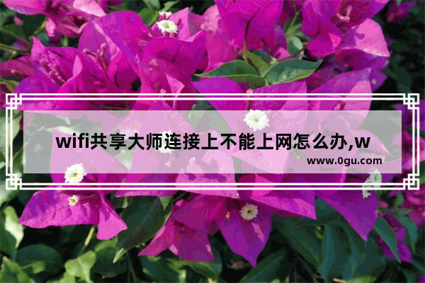 wifi共享大师连接上不能上网怎么办,wifi共享大师打不开怎么办