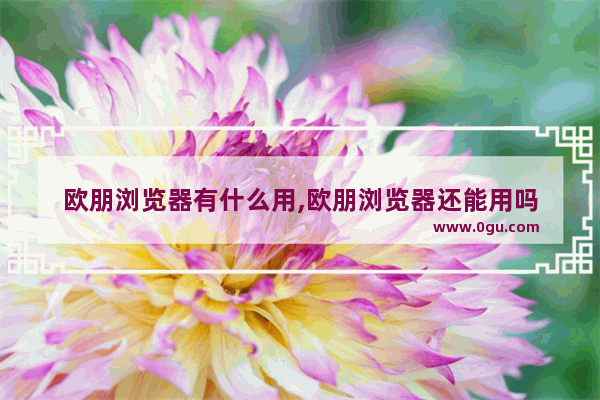 欧朋浏览器有什么用,欧朋浏览器还能用吗