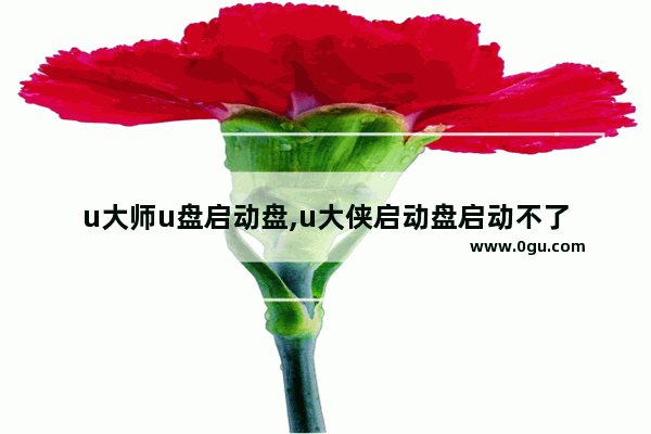 u大师u盘启动盘,u大侠启动盘启动不了