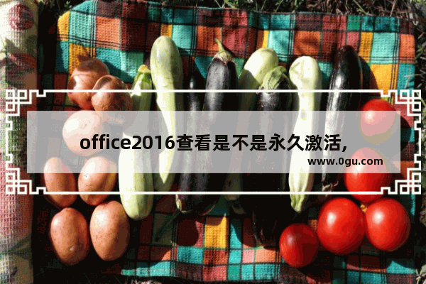 office2016查看是不是永久激活,查看office2013是否永久激活