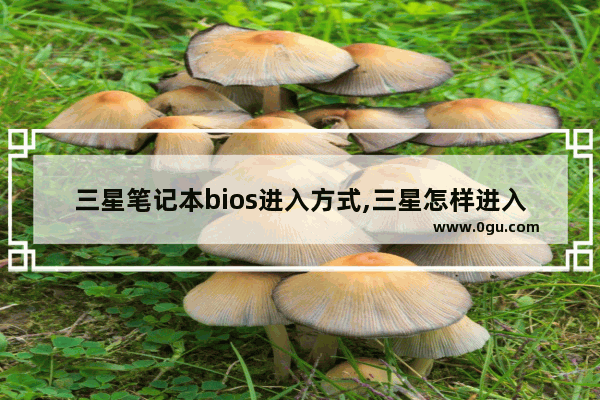 三星笔记本bios进入方式,三星怎样进入bios设置