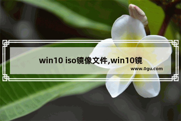 win10 iso镜像文件,win10镜像iso文件下载
