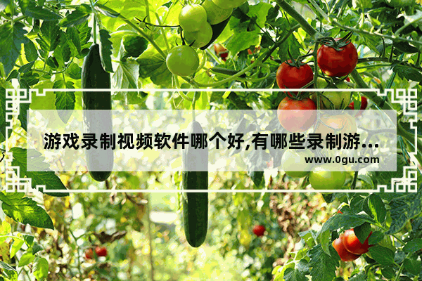 游戏录制视频软件哪个好,有哪些录制游戏视频的软件