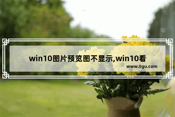 win10图片预览图不显示,win10看不到预览图