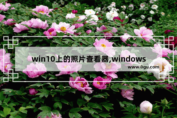 win10上的照片查看器,windows10默认看图软件照片