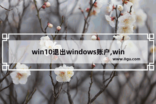 win10退出windows账户,window10如何退出账户