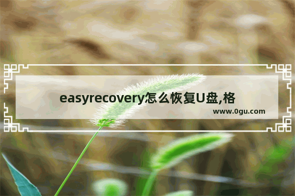 easyrecovery怎么恢复U盘,格式化u盘后怎么恢复数据