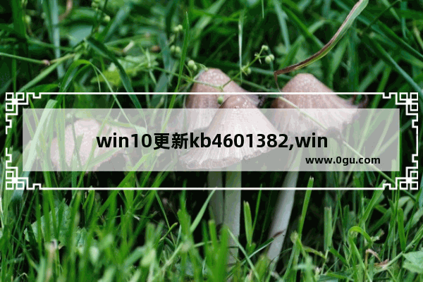 win10更新kb4601382,windows的安全更新程序kb3125574
