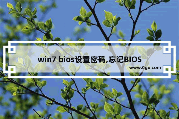 win7 bios设置密码,忘记BIOS密码