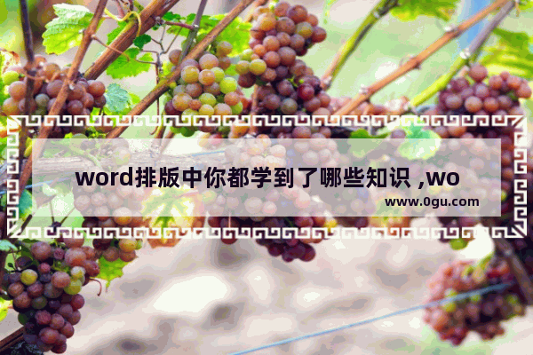 word排版中你都学到了哪些知识 ,word中系统实现自动排版的范本是什么和什么